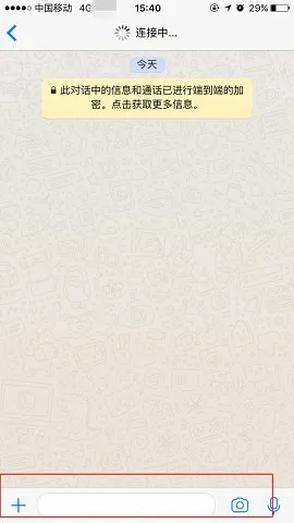 Whats(������������)