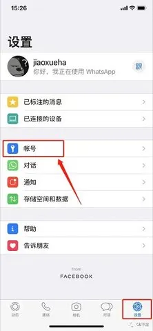 Whats(������������)