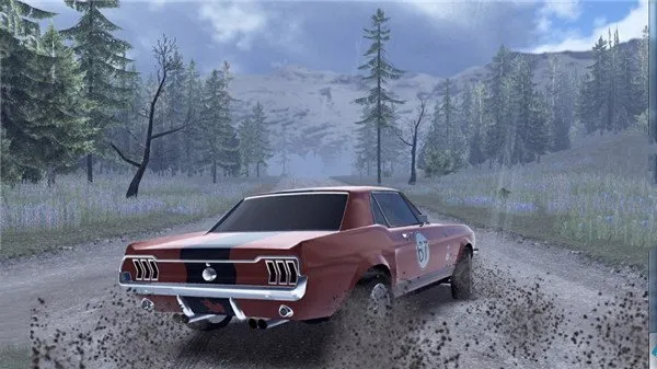 CarX Rally(����������Ϸ)