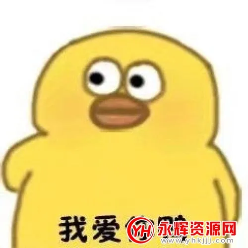 ͷ�����Ѽ(ͷ��������)