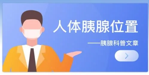 ���ٽ��������ֻ���