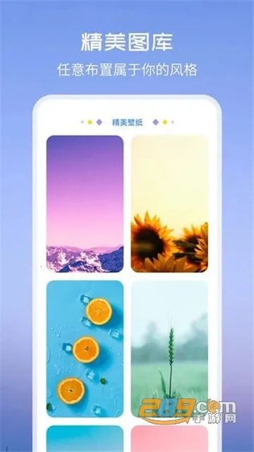����С���TopWidgets2025����v4.3.3 �ֻ���