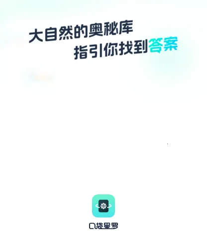 �ڴ�����(����ռ����ѯ)