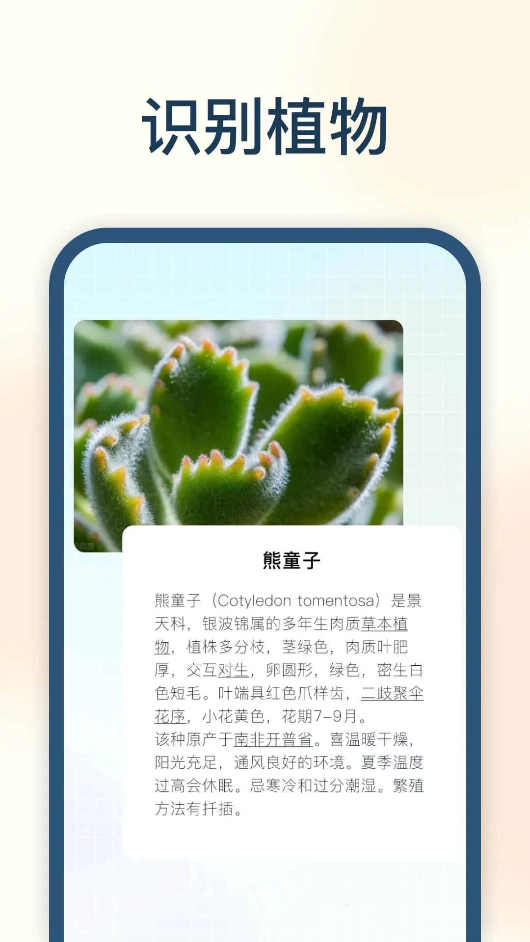 �Ծ��������ֻ���v2.0.0.0 �ٷ���