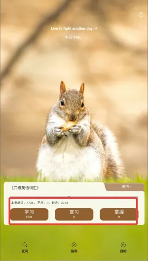 ��Ŀ��������2025����