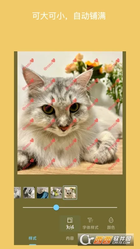 ��ˮӡ2025����v3.9.19 �ֻ���