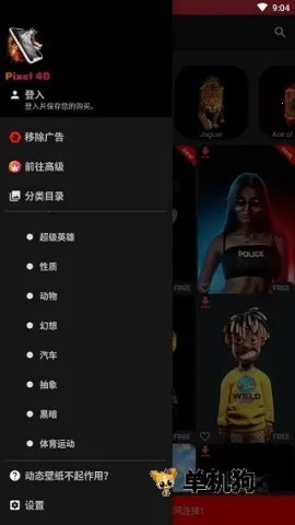 Pixel 4D(4D��ֽ����)