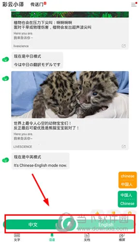 ����С��2026�ٷ����°汾