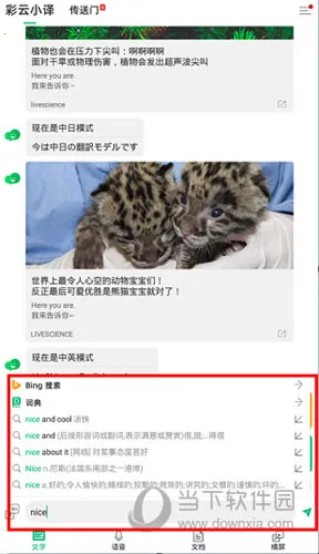 ����С��2026�ٷ����°汾