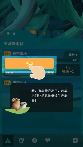 �����澳