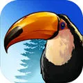 Birdstopia2025����v1.2.6 �ֻ���
