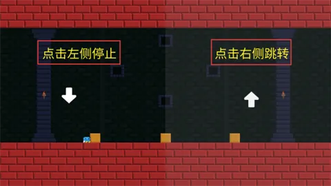 ����������Ծ�����ֻ���