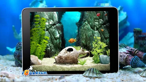 iQuarium2025�ٷ�����2025v2.10 ��׿��