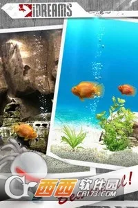 iQuarium2025�ٷ�����2025