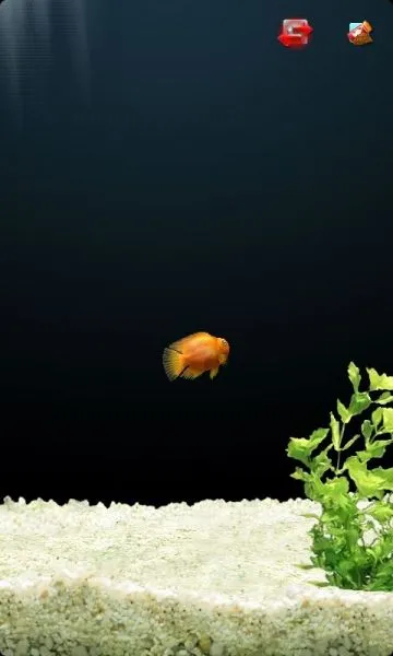 iQuarium2025�ٷ�����2025