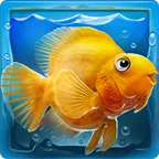 iQuarium2025�ٷ�����2025v2.10 ��׿��