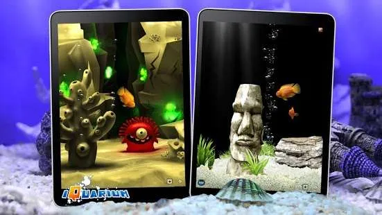 iQuarium2025�ٷ�����2025v2.10 ��׿��