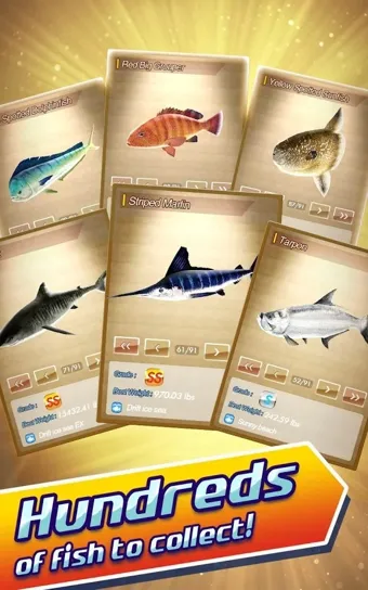 RF2025�ٷ����°汾v1.0.2 ��Ѱ�