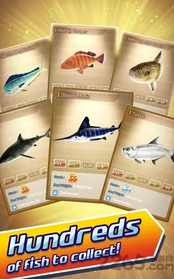 RF2025�ٷ����°汾