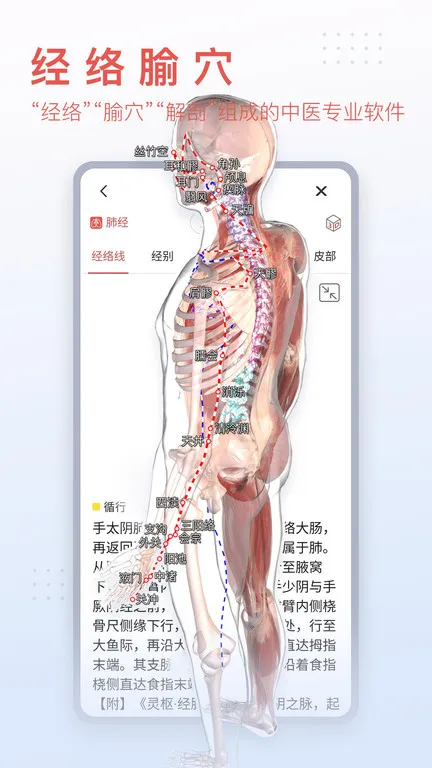 3Dbody���ʰ�׿���ֻ���v8.8.91 ��׿��