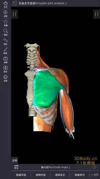 3Dbody���ʰ�׿���ֻ���v8.8.91 ��׿��