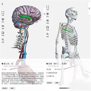 3Dbody���ʰ�׿���ֻ���