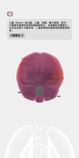 LIFE2025���°汾v1.6.3 �ֻ���