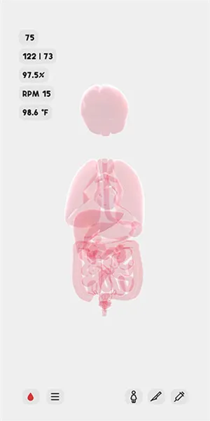 LIFE2025���°汾