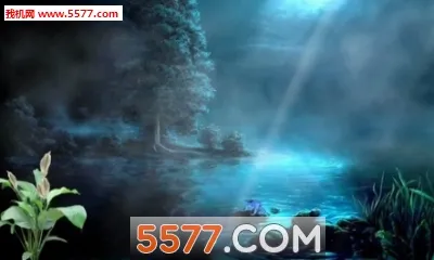 UPUPOO2025���ذ�װ