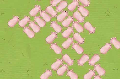 С������2025�ٷ�����