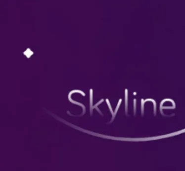 Skyline(��Ϸģ����)v2.0.0 ��׿��