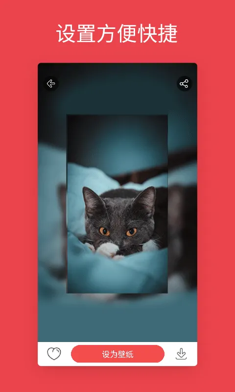 ��׿��̬��ֽ2025�ٷ����°汾v4.3.0 ��׿��