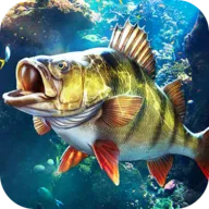 ���ֵ����ʦ(ģ�������Ϸ)v1.0.0.206127 ��׿��