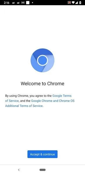 chromium2025����