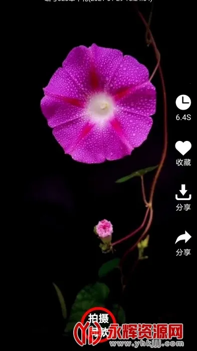 ���İ�׿���ֻ���v5.3.2 �ٷ���