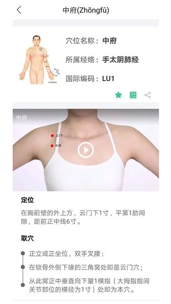 ����Ѩλͼ��