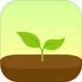 Forest רעɭ��v4.95.0 ��Ѱ�
