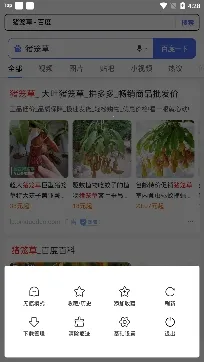 �쿴�����2026���ذ�װ