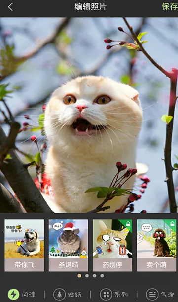 �ȳ����(������������)v1.0 �ٷ���