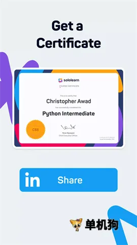 SoloLearnv4.0.5 ��׿��